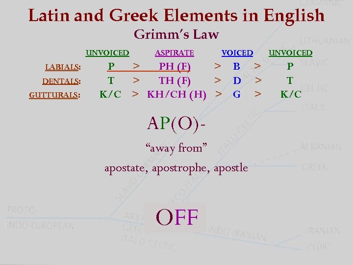 Latin and Greek Elements in English Grimm’s Law UNVOICED LABIALS: DENTALS: GUTTURALS: ASPIRATE VOICED