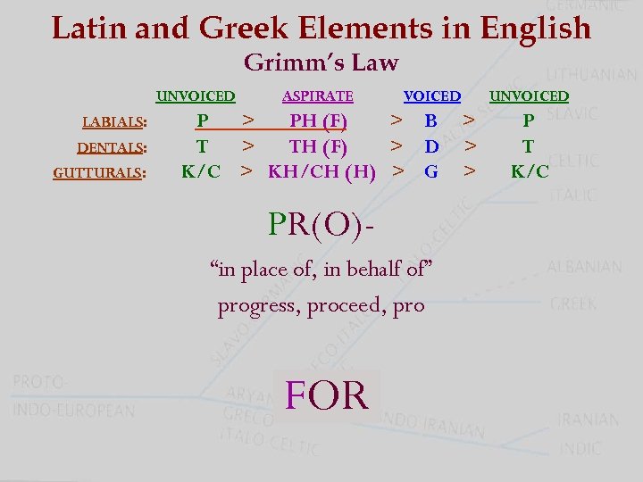 Latin and Greek Elements in English Grimm’s Law UNVOICED LABIALS: DENTALS: GUTTURALS: ASPIRATE VOICED