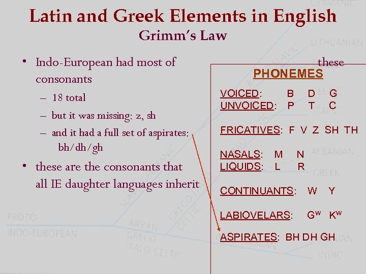 Latin and Greek Elements in English Grimm’s Law • Indo-European had most of consonants