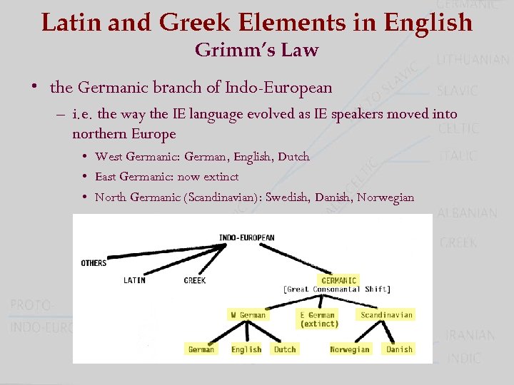 Latin and Greek Elements in English Grimm’s Law • the Germanic branch of Indo-European