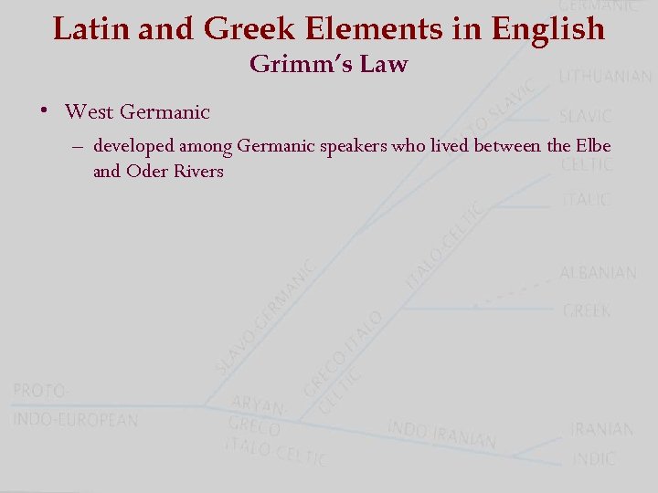 Latin and Greek Elements in English Grimm’s Law • West Germanic – developed among