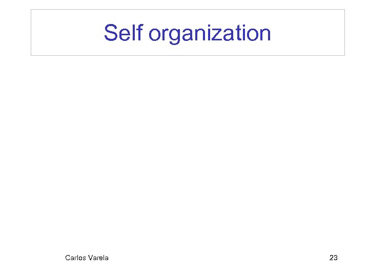 Self organization Carlos Varela 23 