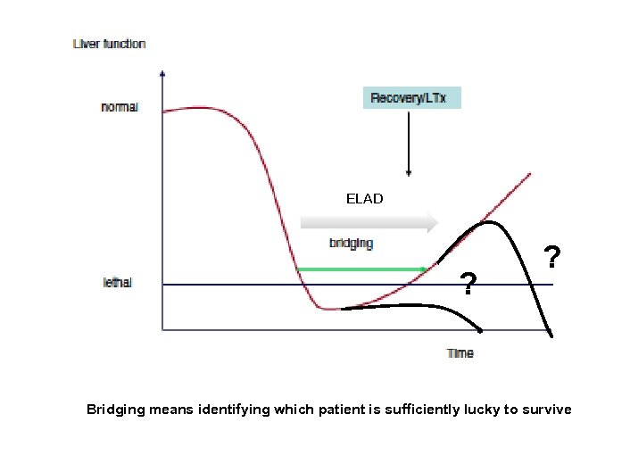 ELAD ? ? Bridging means identifying which patient is sufficiently lucky to survive 