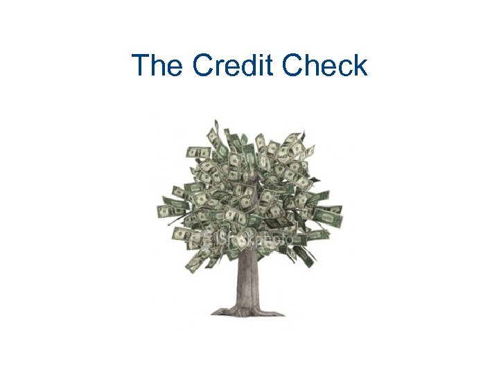 The Credit Check 