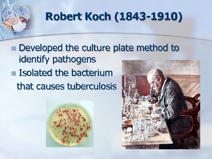 Robert Koch (1843 -1910) Developed the culture plate method to identify pathogens n Isolated