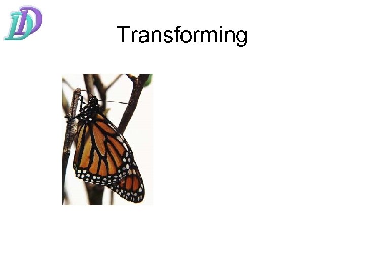 Transforming 