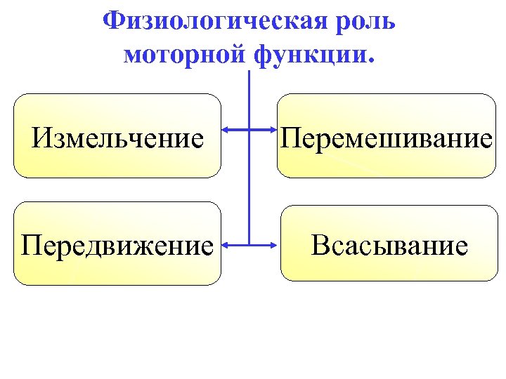 Физиологическая роль. Моторная функция. Моторные функции организма. Основные моторные функции. Моторные функции речи.