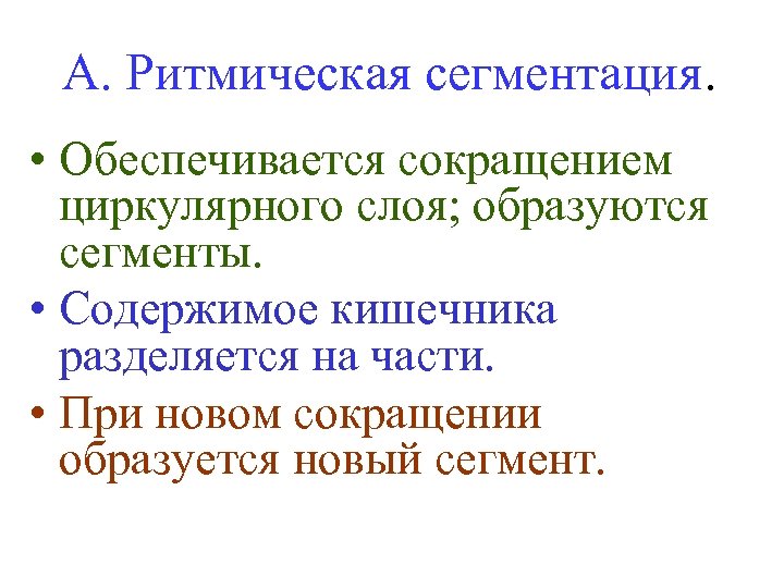 А. Ритмическая сегментация. • Обеспечивается сокращением циркулярного слоя; образуются сегменты. • Содержимое кишечника разделяется