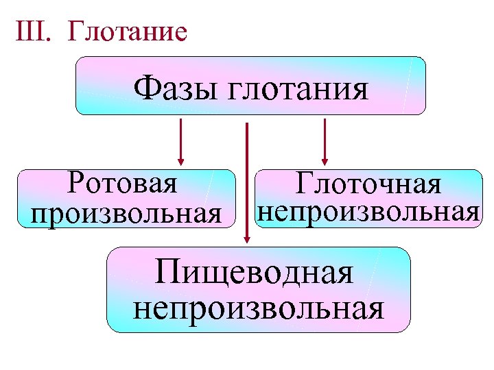 III. Глотание Фазы глотания Ротовая произвольная Глоточная непроизвольная Пищеводная непроизвольная 