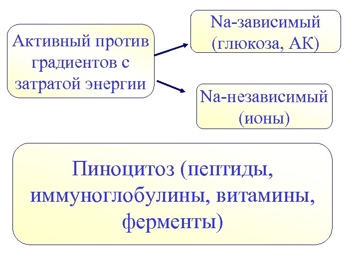 Против градиента