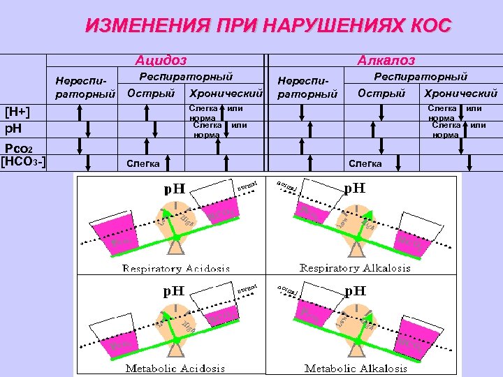 Что такое кос в физиологии