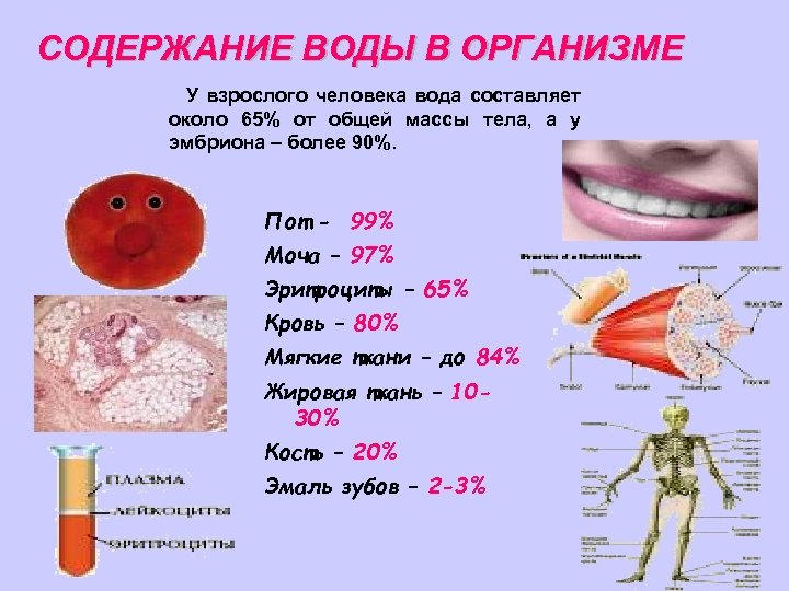 Составляет около 2 2 5