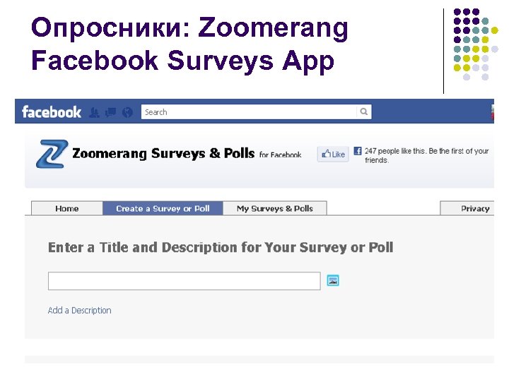 Опросники: Zoomerang Facebook Surveys App 