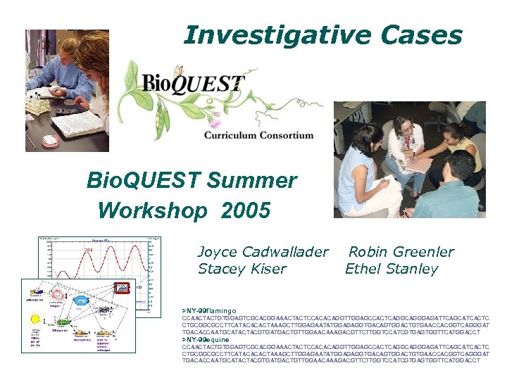 Investigative Cases Bio. QUEST Summer Workshop 2005 Joyce Cadwallader Stacey Kiser Robin Greenler Ethel