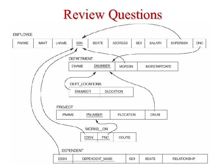 Review Questions 