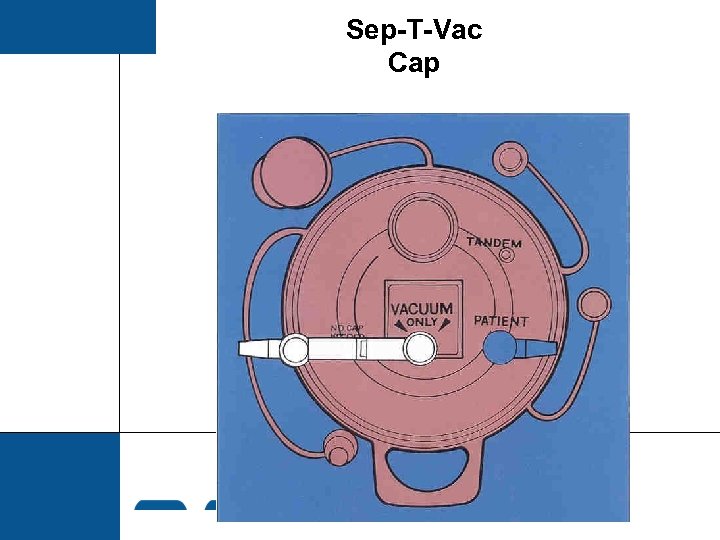 Sep-T-Vac Cap 