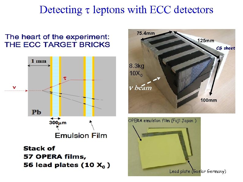 Detecting leptons with ECC detectors 75. 4 mm 125 mm CS sheet 8. 3