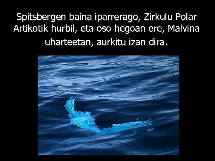 Spitsbergen baina iparrerago, Zirkulu Polar Artikotik hurbil, eta oso hegoan ere, Malvina uharteetan, aurkitu