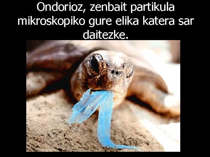 Ondorioz, zenbait partikula mikroskopiko gure elika katera sar daitezke. 