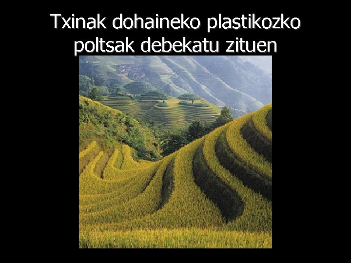 Txinak dohaineko plastikozko poltsak debekatu zituen 