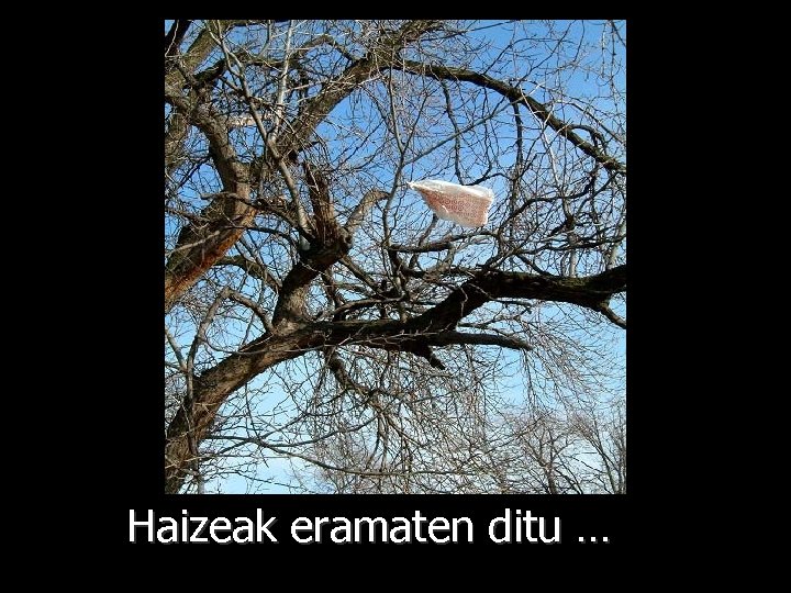 Haizeak eramaten ditu … 