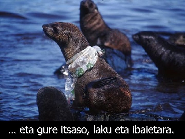 … eta gure itsaso, laku eta ibaietara. 