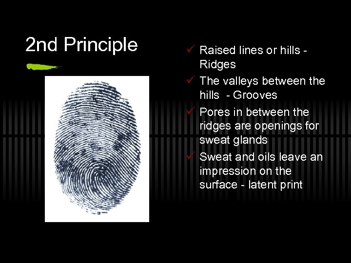 2 nd Principle ü Raised lines or hills Ridges ü The valleys between the