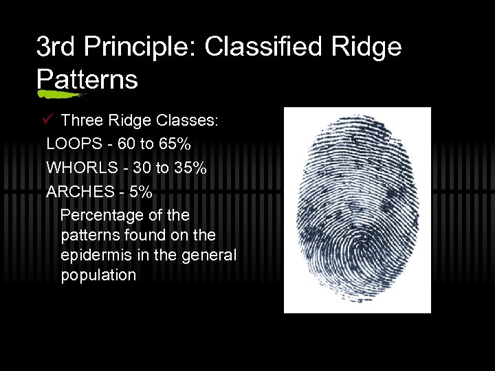 3 rd Principle: Classified Ridge Patterns ü Three Ridge Classes: LOOPS - 60 to