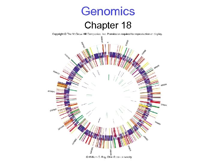 Genomics Chapter 18 