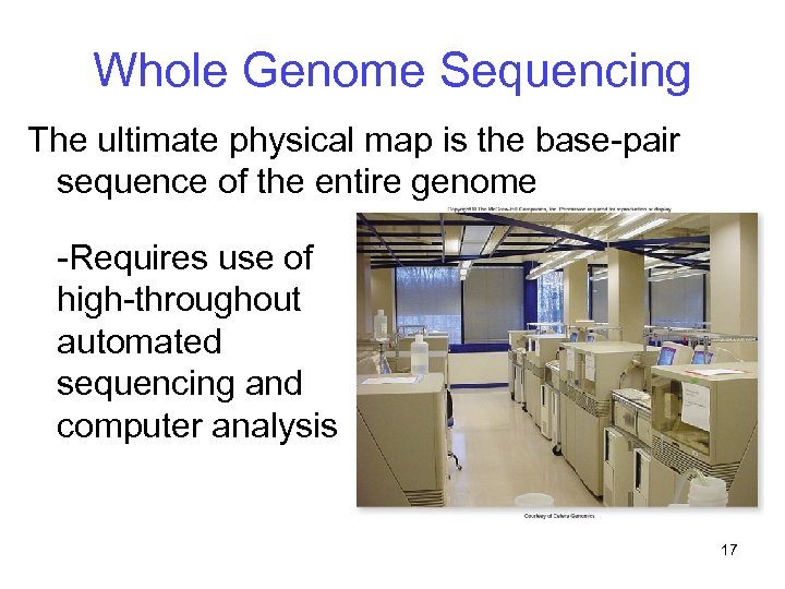 Whole Genome Sequencing The ultimate physical map is the base-pair sequence of the entire