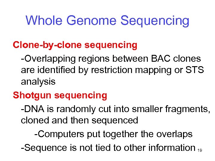 Whole Genome Sequencing Clone-by-clone sequencing -Overlapping regions between BAC clones are identified by restriction