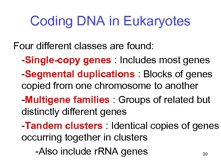 Coding DNA in Eukaryotes Four different classes are found: -Single-copy genes : Includes most