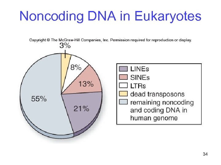 Noncoding DNA in Eukaryotes 34 