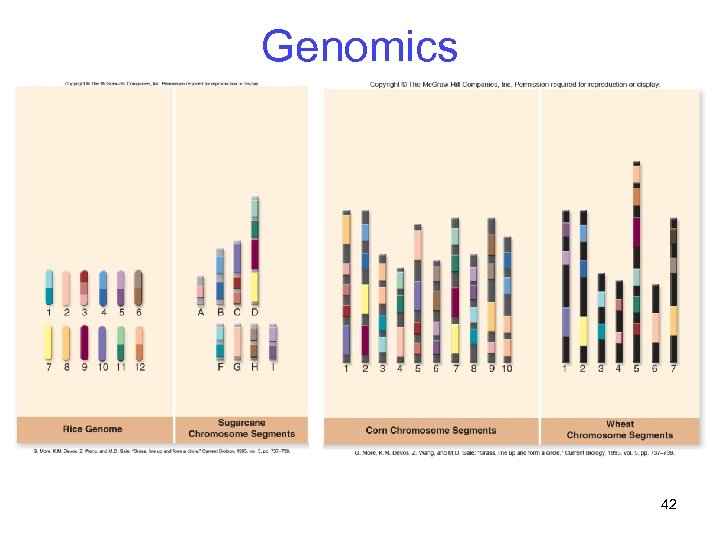 Genomics 42 