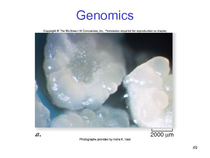 Genomics 49 