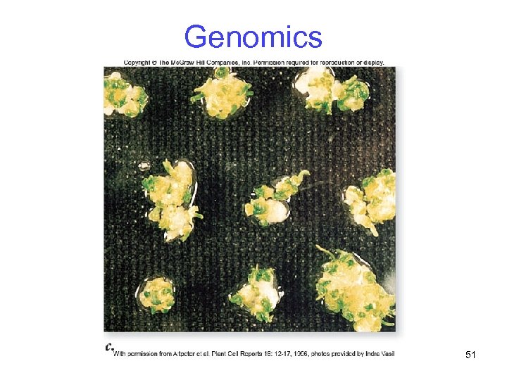 Genomics 51 