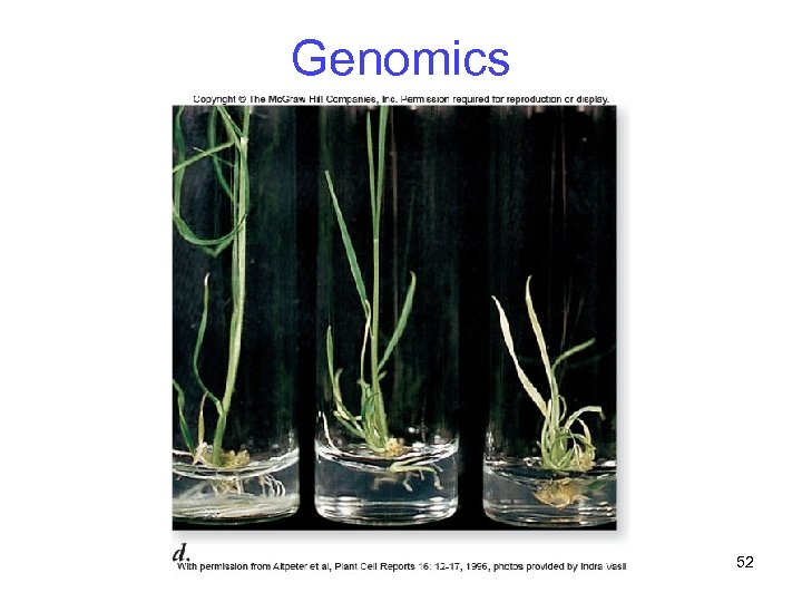 Genomics 52 