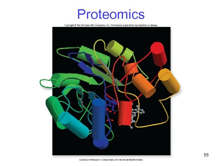 Proteomics 55 