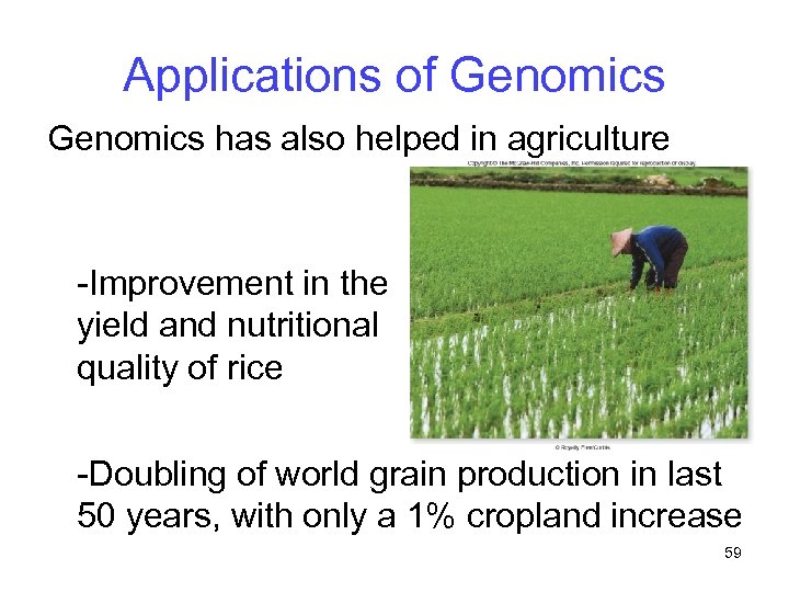 Applications of Genomics has also helped in agriculture -Improvement in the yield and nutritional