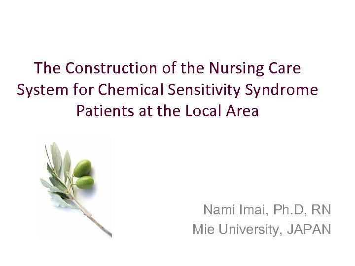 The Construction of the Nursing Care System for Chemical Sensitivity Syndrome Patients at the
