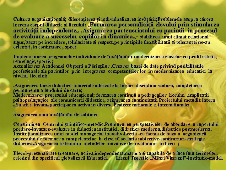 Cultura organizaţională; diferenţierea şi individualizarea învăţării; Problemele asupra cărora lucreza corpul didactic al liceului: