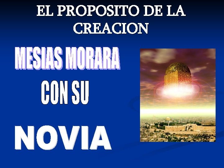 EL PROPOSITO DE LA CREACION 