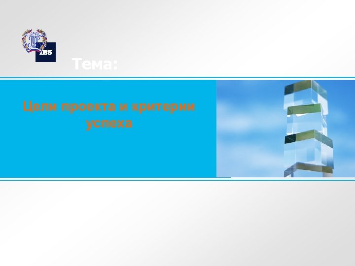 Тема: Цели проекта и критерии успеха 
