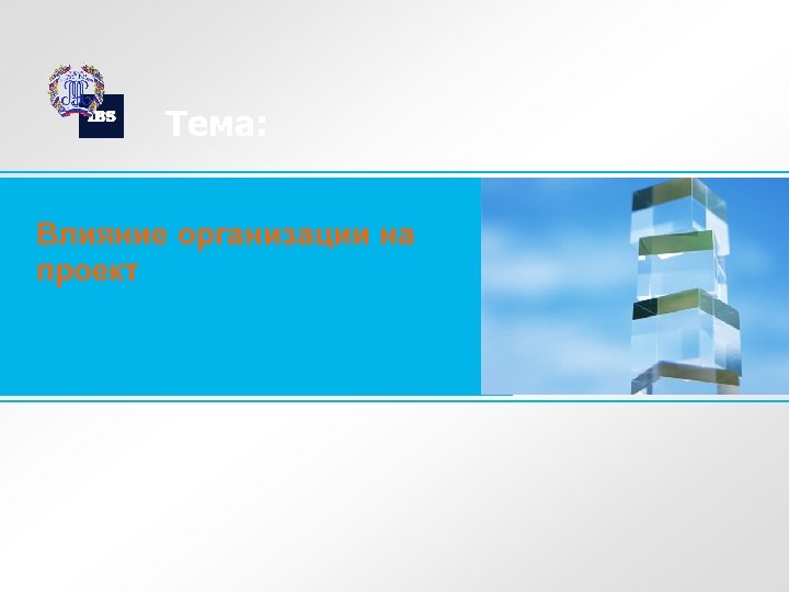 Тема: Влияние организации на проект 