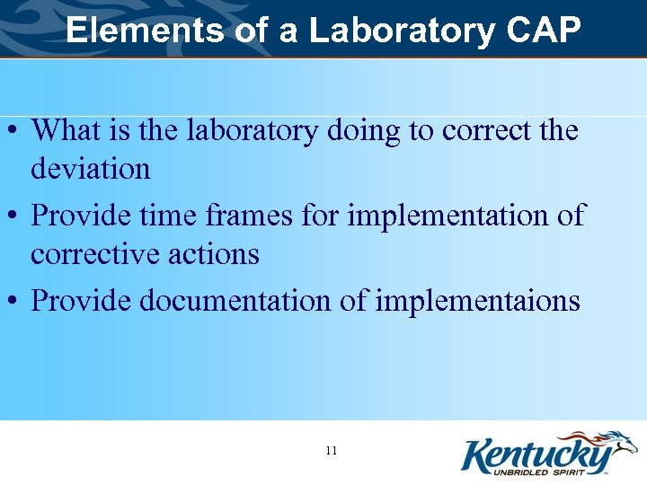 Elements of a Laboratory CAP • What is the laboratory doing to correct the
