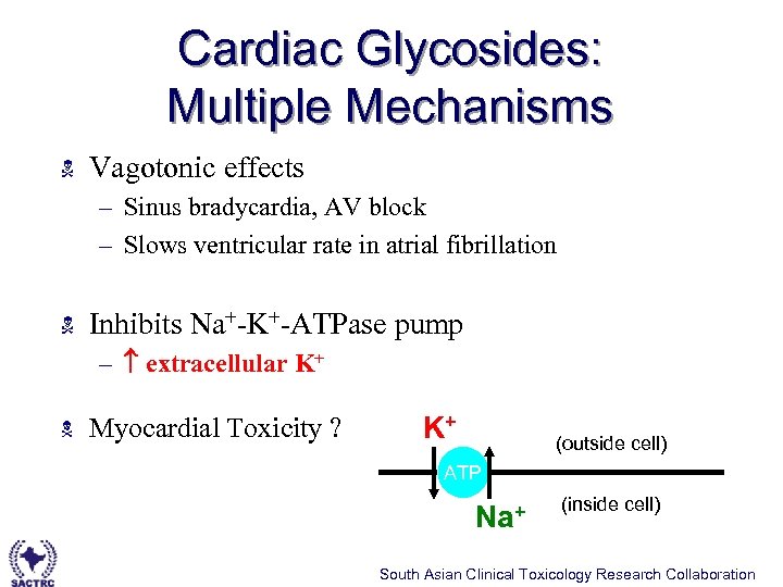 Cardiac Glycosides: Multiple Mechanisms N Vagotonic effects – Sinus bradycardia, AV block – Slows