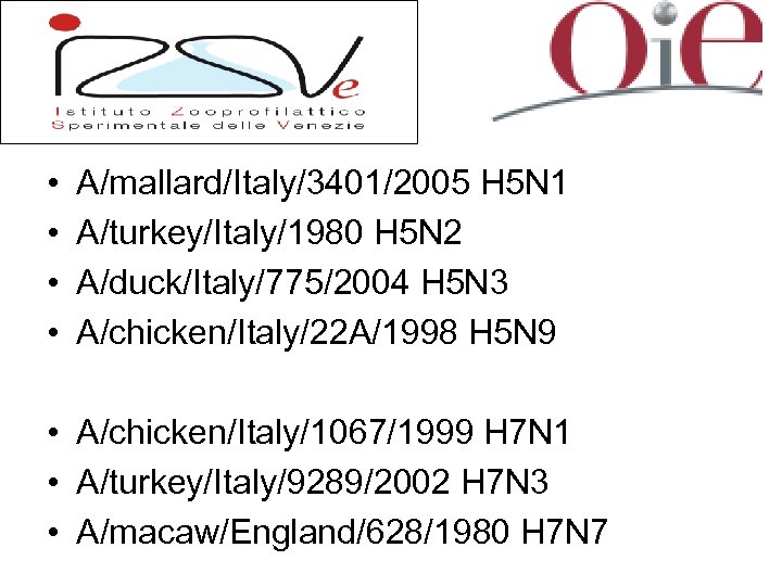  • • A/mallard/Italy/3401/2005 H 5 N 1 A/turkey/Italy/1980 H 5 N 2 A/duck/Italy/775/2004