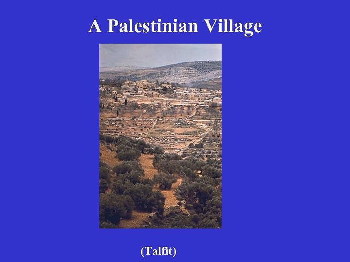 A Palestinian Village (Talfit) 