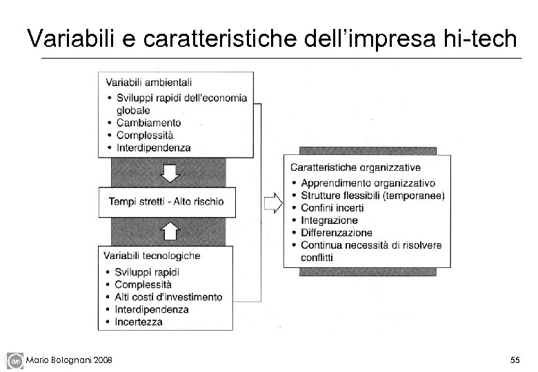 Variabili e caratteristiche dell’impresa hi-tech Mario Bolognani 2008 55 