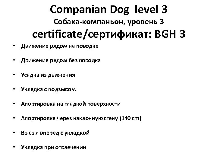 Companian Dog level 3 Собака-компаньон, уровень 3 certificate/сертификат: BGH 3 • Движение рядом на